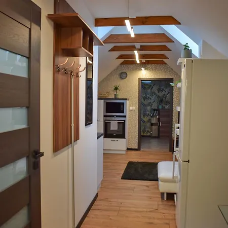Pod Prasivou Apartment *